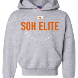 Program Gray Hoodie